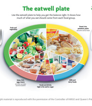 the-eat-well-plate-large
